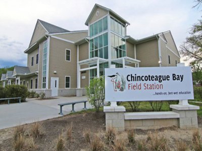 Things To Do Chincoteague Bay Field Station 